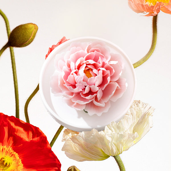 Ceramic hand-pinched flower diffuser ornaments intangible cultural heritage Porcelain Oil Warmer - Floral Home Scents