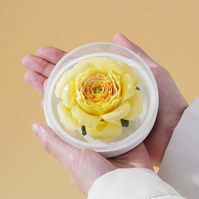 Austin Rose-Floral Ceramic Diffuser - Natural Aromatherapy for Home-Intangible Cultural Heritage
